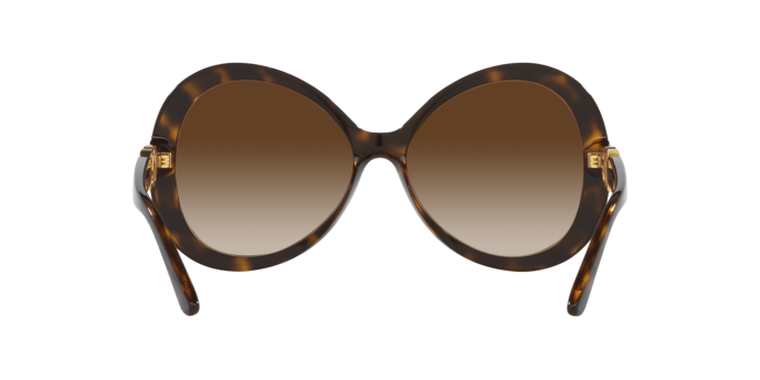 Dolce & Gabbana Sunglasses DG6194U 502/13