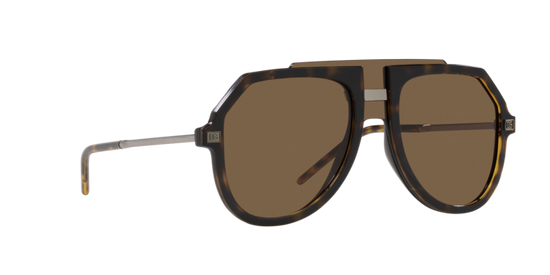 Dolce & Gabbana Sunglasses DG6195 502/73