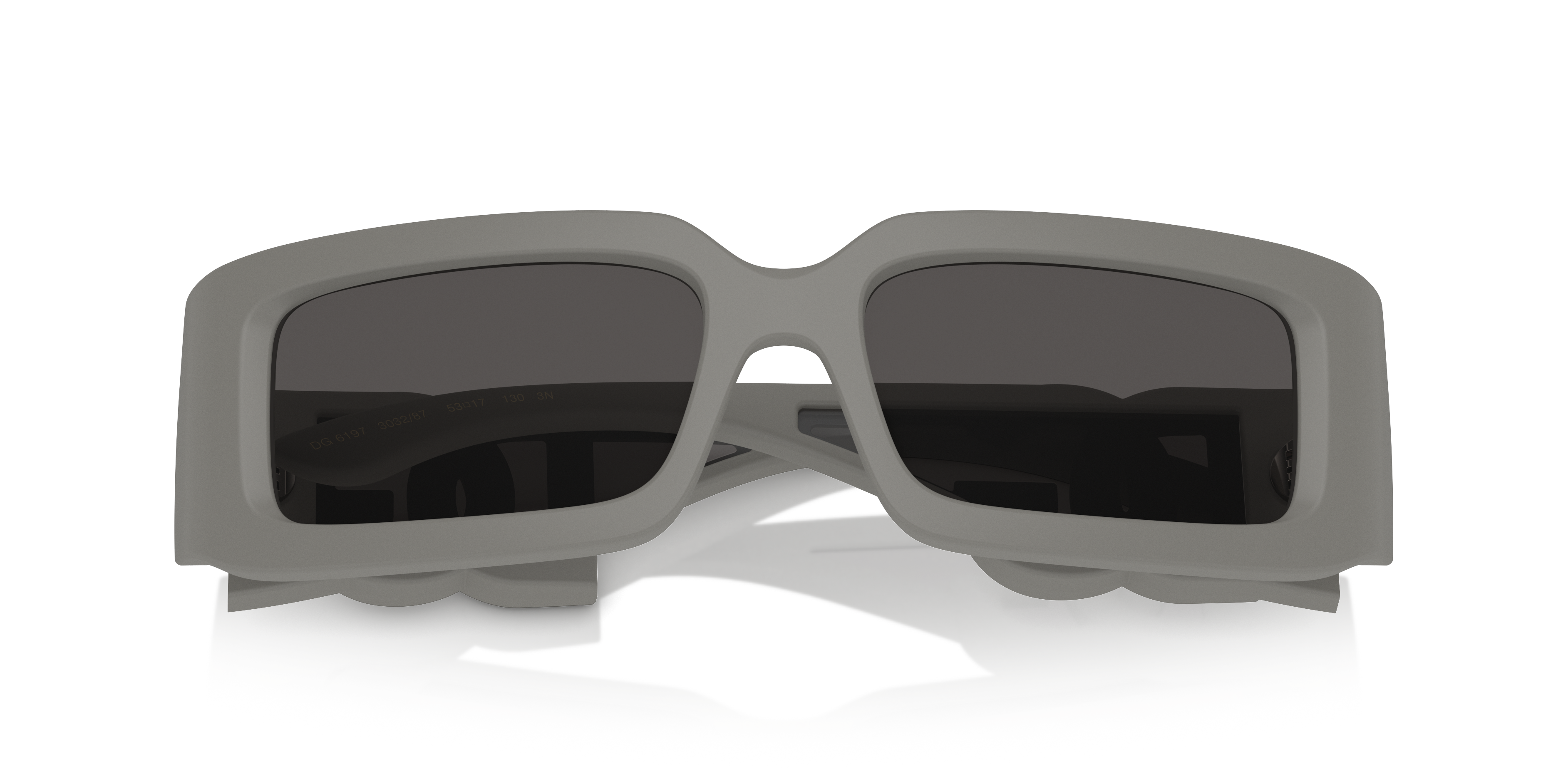 Dolce & Gabbana Sunglasses DG6197 303287