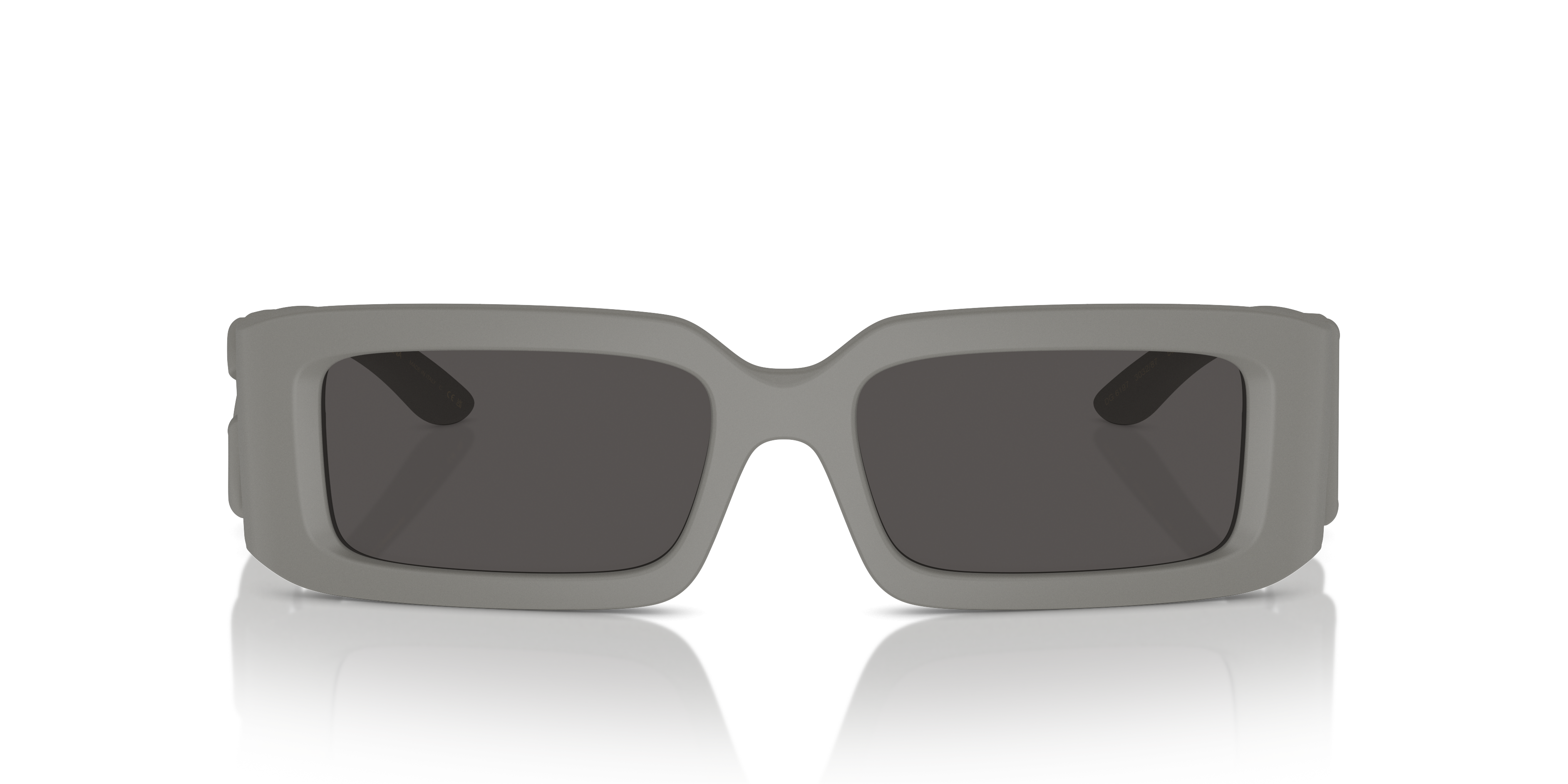 Dolce & Gabbana Sunglasses DG6197 303287