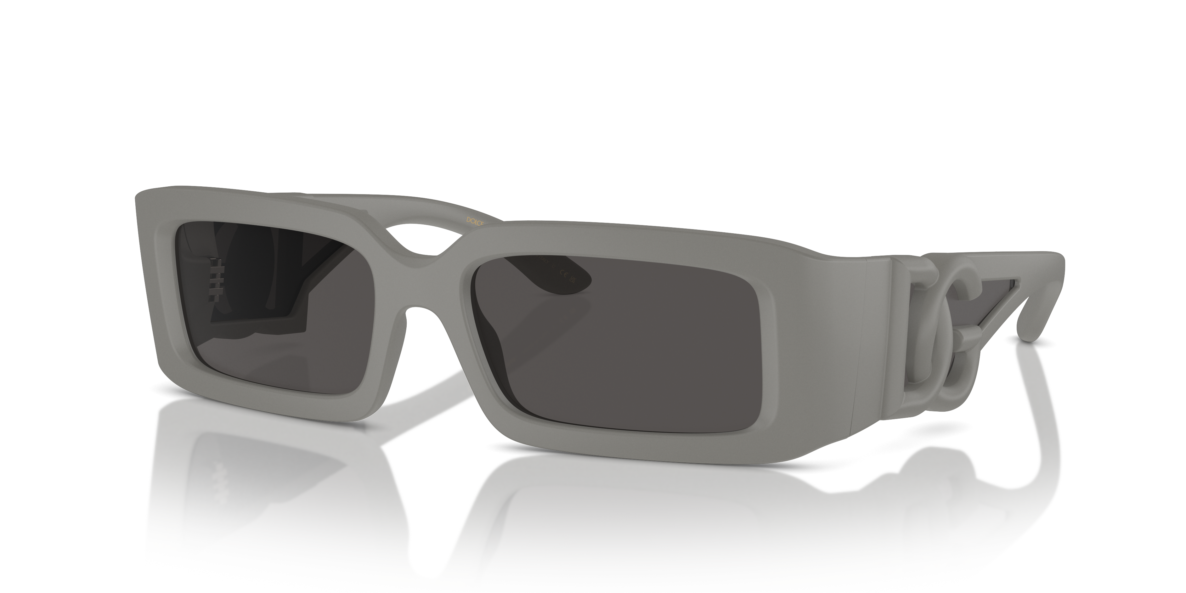 Dolce & Gabbana Sunglasses DG6197 303287