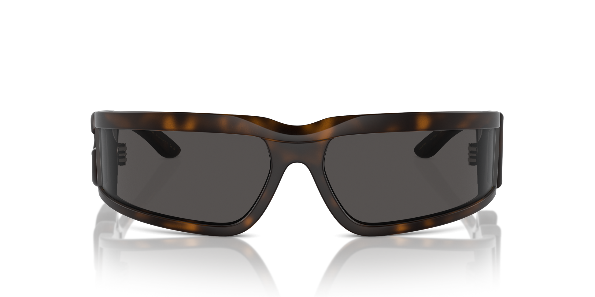 Dolce & Gabbana Sunglasses DG6198 193587