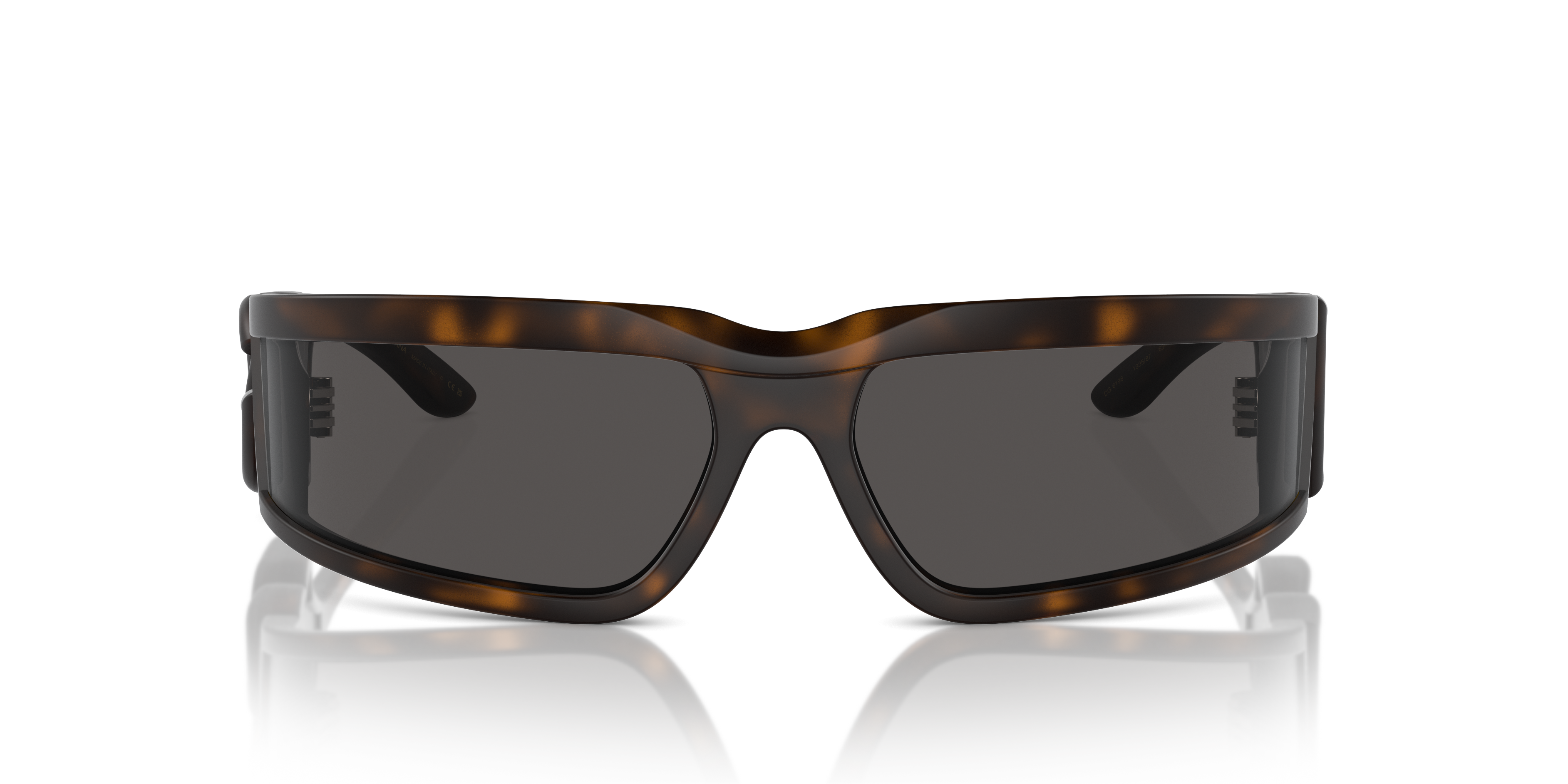 Dolce & Gabbana Sunglasses DG6198 193587