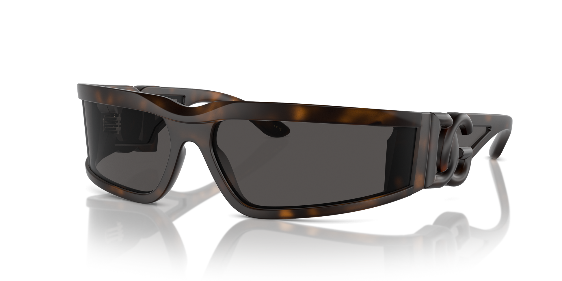 Dolce & Gabbana Sunglasses DG6198 193587