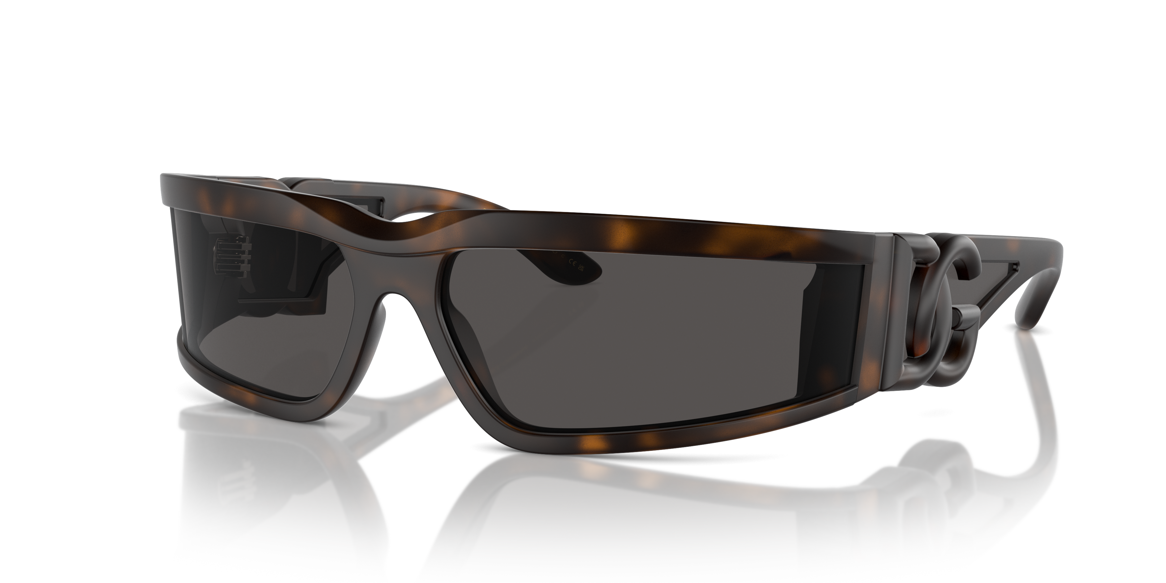 Dolce & Gabbana Sunglasses DG6198 193587