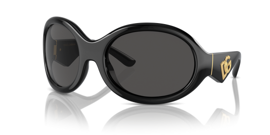 Dolce & Gabbana Sunglasses DG6201 501/87