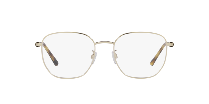 Emporio Armani Eyeglasses EA1134D 3063