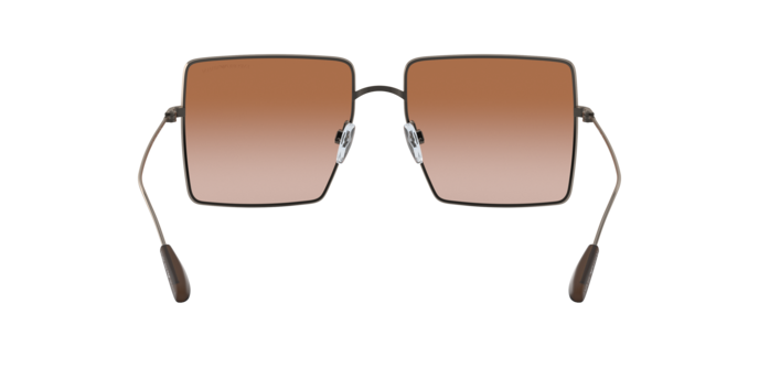 Emporio Armani Sunglasses EA2101 300313