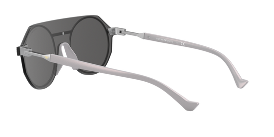 Emporio Armani Sunglasses EA2102 30456G