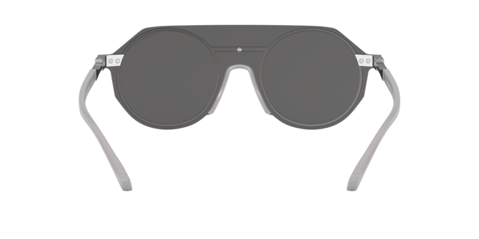 Emporio Armani Sunglasses EA2102 30456G