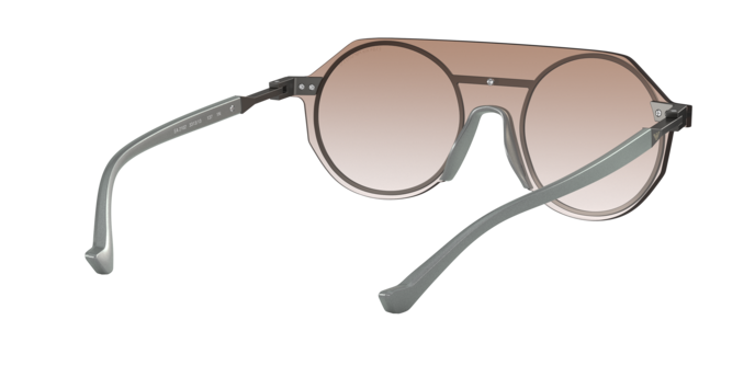 Emporio Armani Sunglasses EA2102 331313