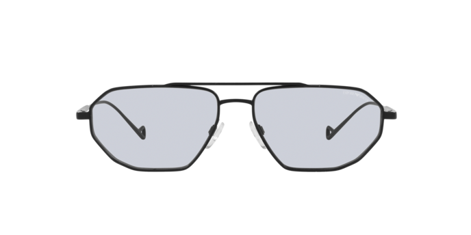 Emporio Armani Sunglasses EA2113 300187