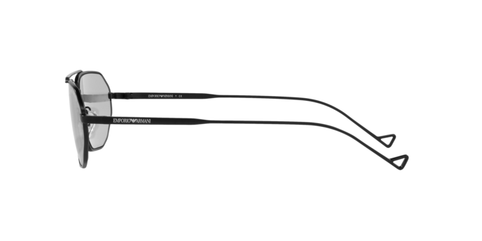 Emporio Armani Sunglasses EA2113 300187