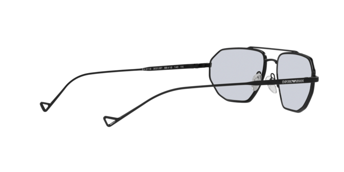 Emporio Armani Sunglasses EA2113 300187
