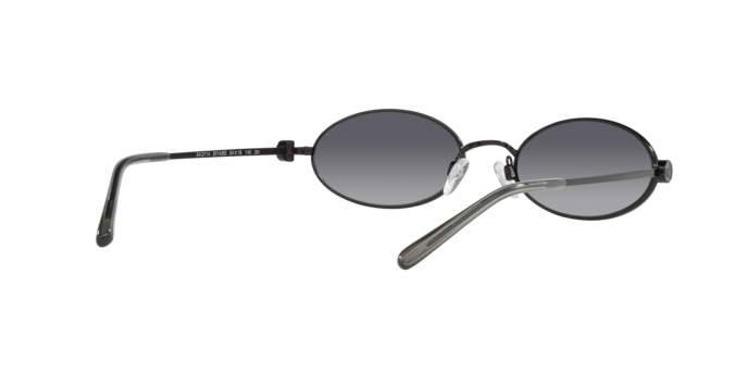 Emporio Armani Sunglasses EA2114 30148G