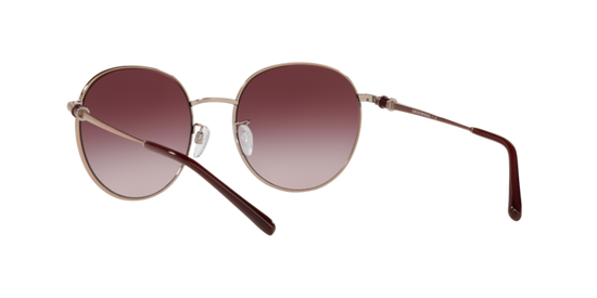 Emporio Armani Sunglasses EA2121D 30118H