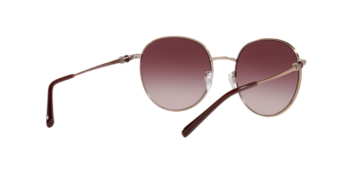 Emporio Armani Sunglasses EA2121D 30118H