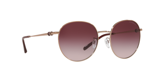 Emporio Armani Sunglasses EA2121D 30118H