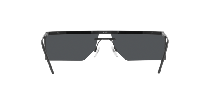 Emporio Armani Sunglasses EA2123 300187