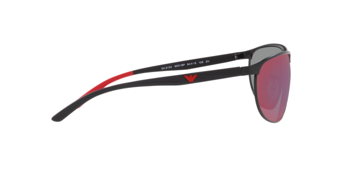 Emporio Armani Sunglasses EA2124 30016P