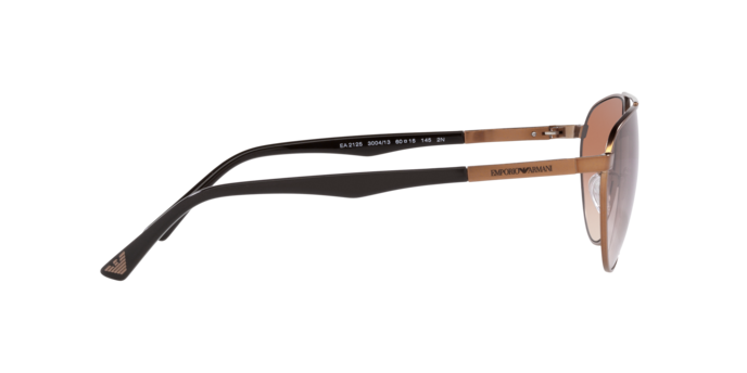 Emporio Armani Sunglasses EA2125 300413