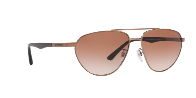 Emporio Armani Sunglasses EA2125 300413