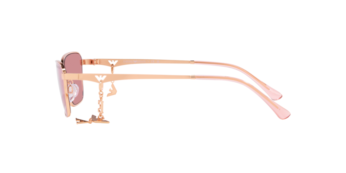 Emporio Armani Sunglasses EA2141 301184