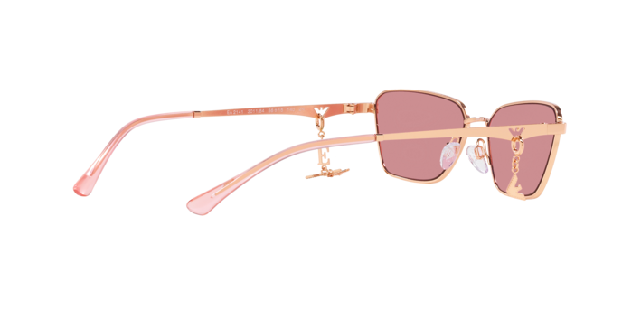 Emporio Armani Sunglasses EA2141 301184