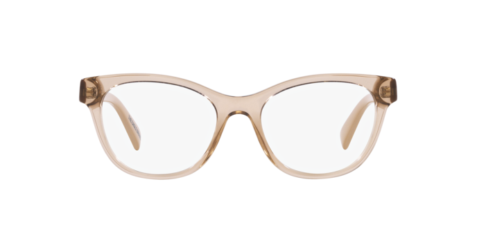 Emporio Armani Eyeglasses EA3162 5850