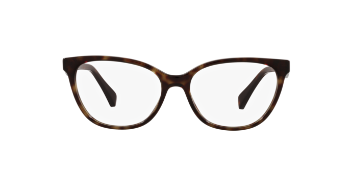 Emporio Armani Eyeglasses EA3172 5234