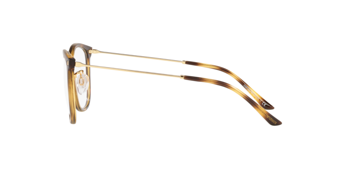 Emporio Armani Eyeglasses EA3199 5002