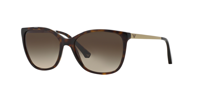 Emporio Armani Sunglasses EA4025 502613