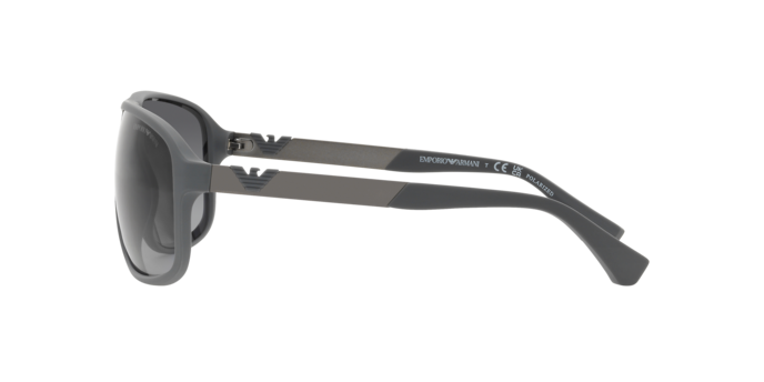 Emporio Armani Sunglasses EA4029 5060T3