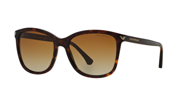 Emporio Armani Sunglasses EA4060 5026T5