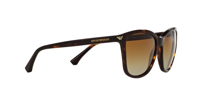 Emporio Armani Sunglasses EA4060 5026T5