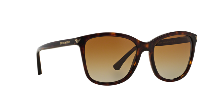 Emporio Armani Sunglasses EA4060 5026T5