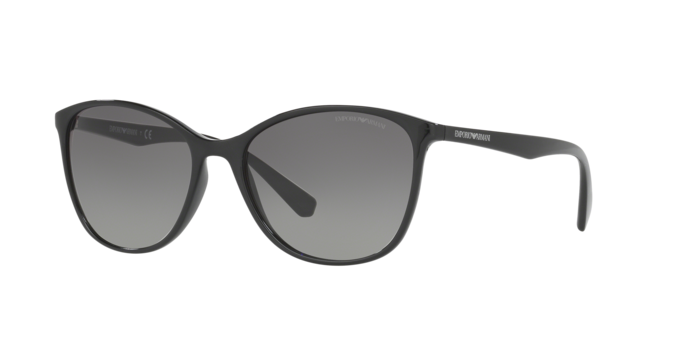Emporio Armani Sunglasses EA4073 501711