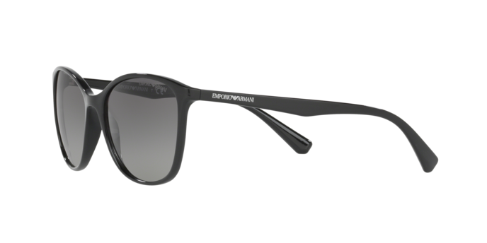 Emporio Armani Sunglasses EA4073 501711