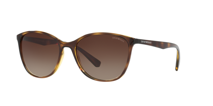 Emporio Armani Sunglasses EA4073 502613