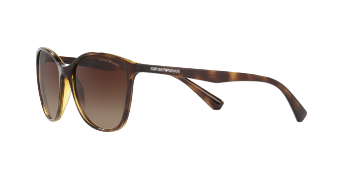 Emporio Armani Sunglasses EA4073 502613