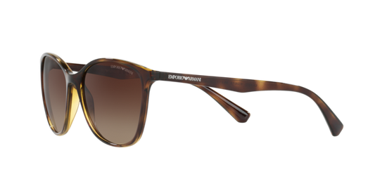 Emporio Armani Sunglasses EA4073 502613