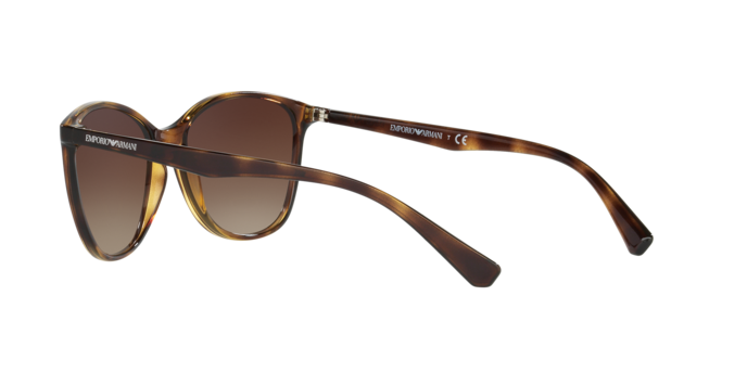 Emporio Armani Sunglasses EA4073 502613