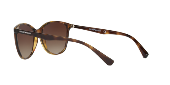 Emporio Armani Sunglasses EA4073 502613