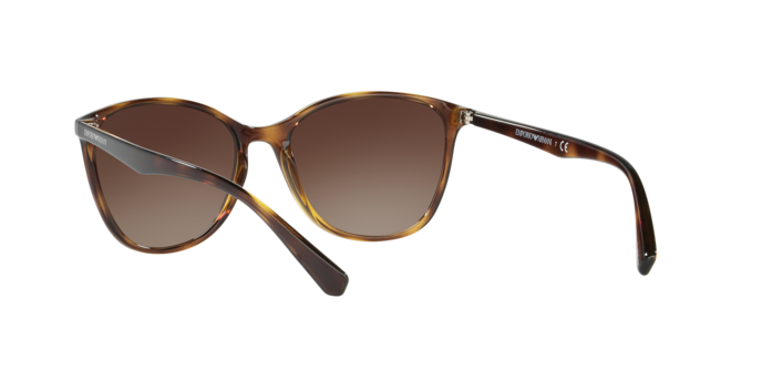 Emporio Armani Sunglasses EA4073 502613