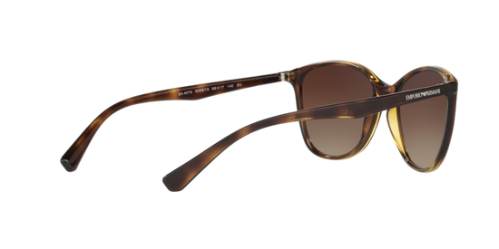 Emporio Armani Sunglasses EA4073 502613