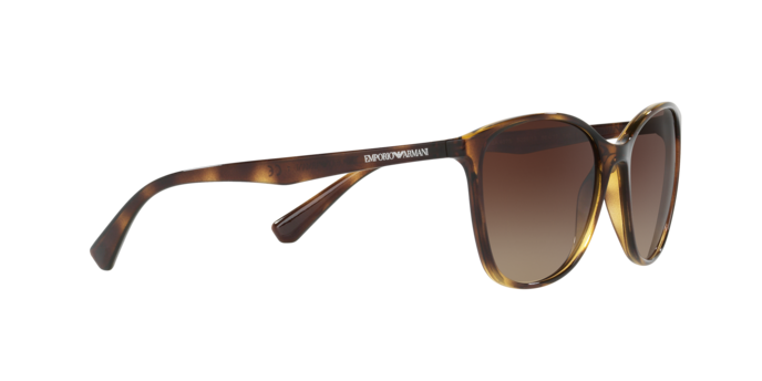 Emporio Armani Sunglasses EA4073 502613