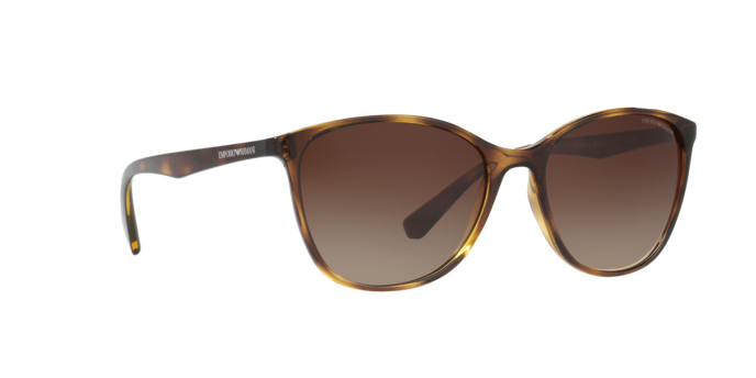 Emporio Armani Sunglasses EA4073 502613