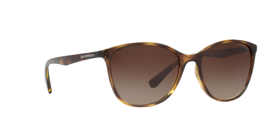 Emporio Armani Sunglasses EA4073 502613