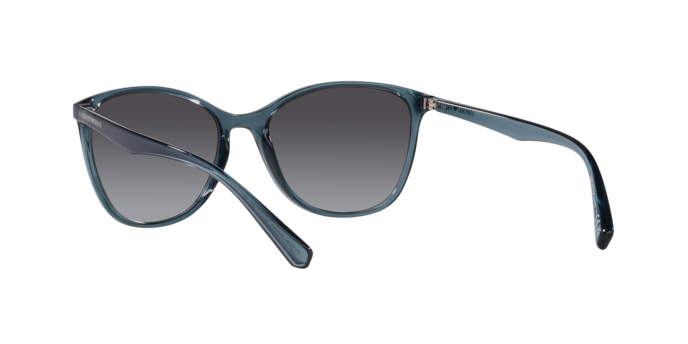 Emporio Armani Sunglasses EA4073 59188G