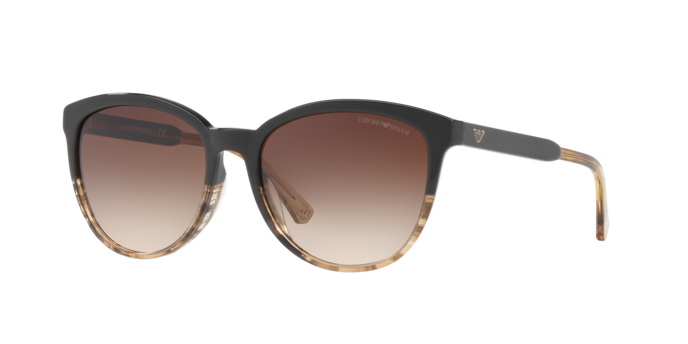 Emporio Armani Sunglasses EA4101 556713